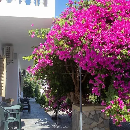 Flowers Studios Skala  Exterior photo