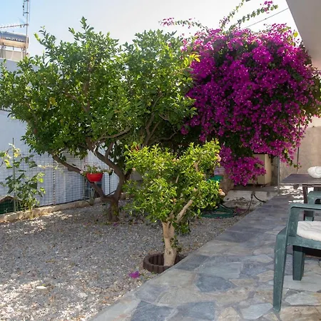 Flowers Studios Skala  Exterior photo