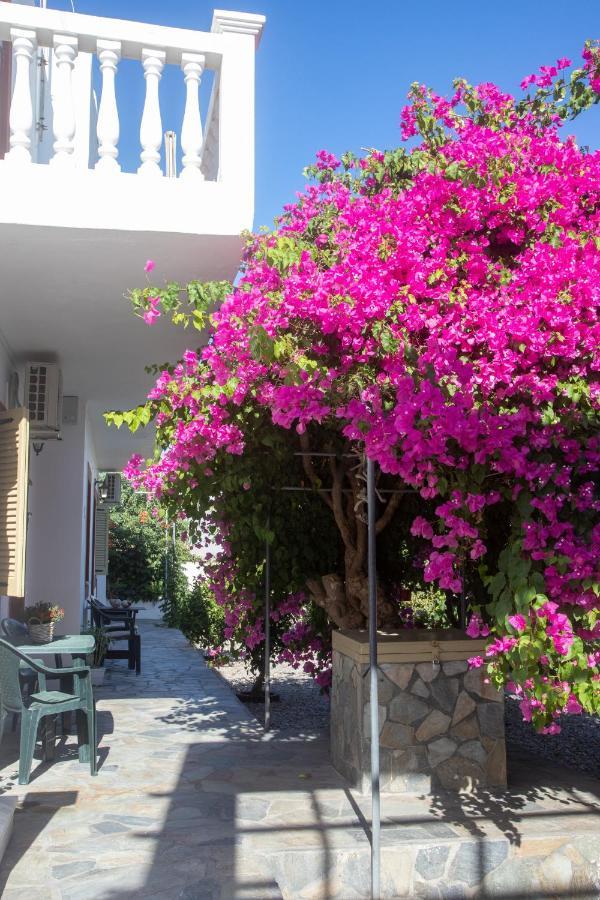 Flowers * Skala (Patmos)